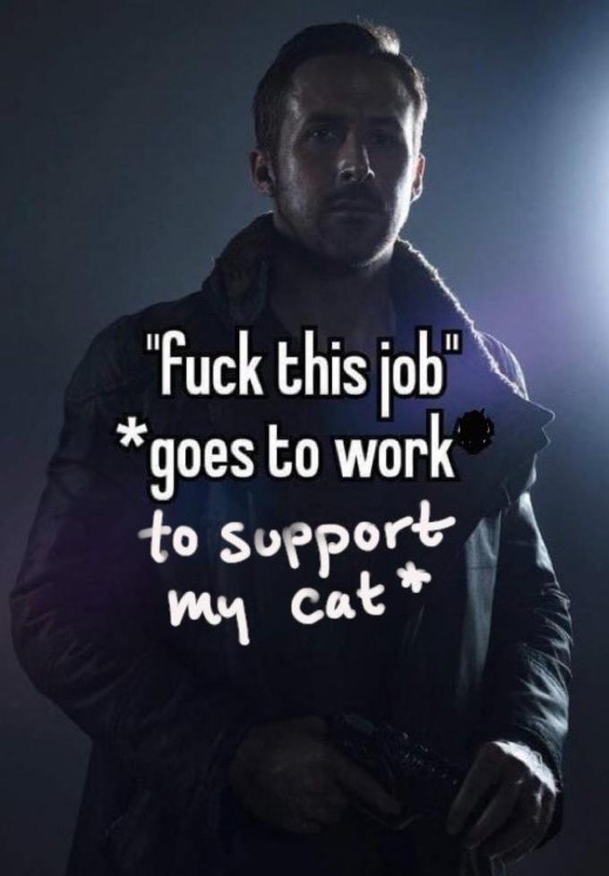 "F--- this job goes to work * to support my cat *