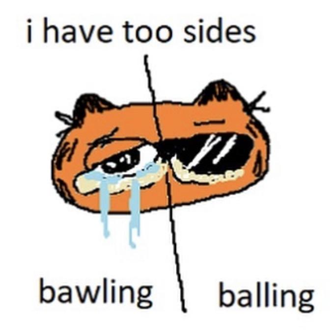 i have too (two) sides Garfield Know Your Meme