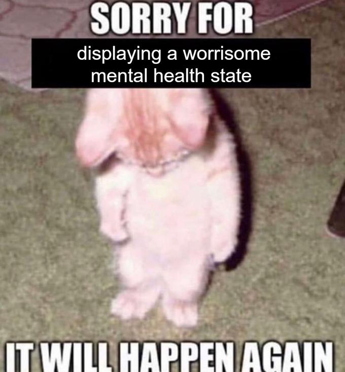 SORRY FOR displaying a worrisome mental health state IT WILL HAPPEN AGAIN