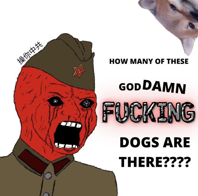 操你中共 HOW MANY OF THESE GOD DAMN F------ DOGS ARE THERE????