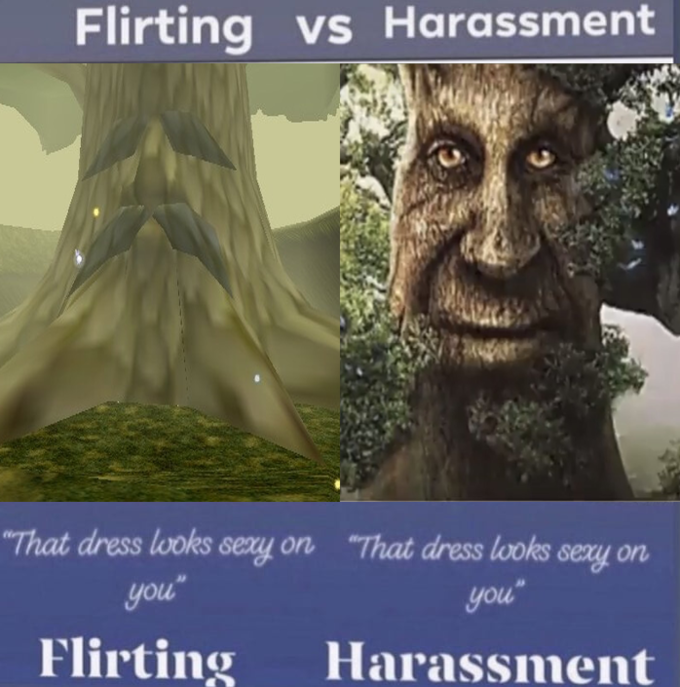 Flirting vs Harassment "That dress looks sexy on "That dress looks sexy on you" you" Flirting Harassment