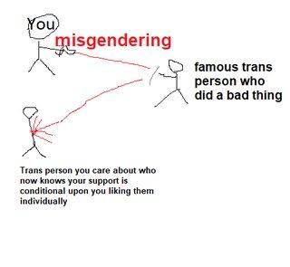 You misgendering Trans person you care about who now knows your support is conditional upon you liking them individually famous trans person who did a bad thing