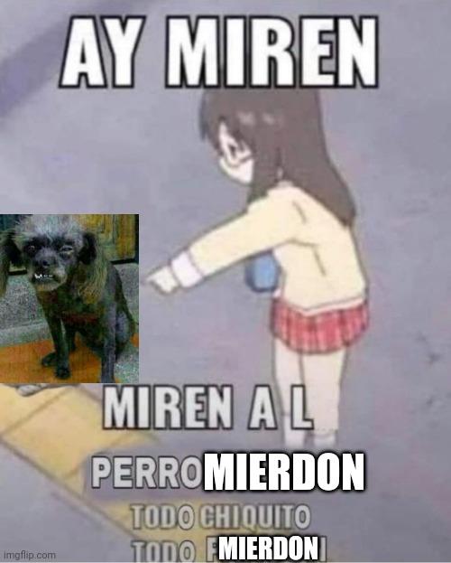 imgflip.com AY MIREN MIREN AL PERROMIERDON TODO CHIQUITO TODO EMIERDON]