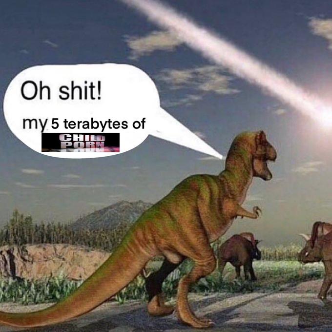 Oh s---! my 5 terabytes of CHILD P---