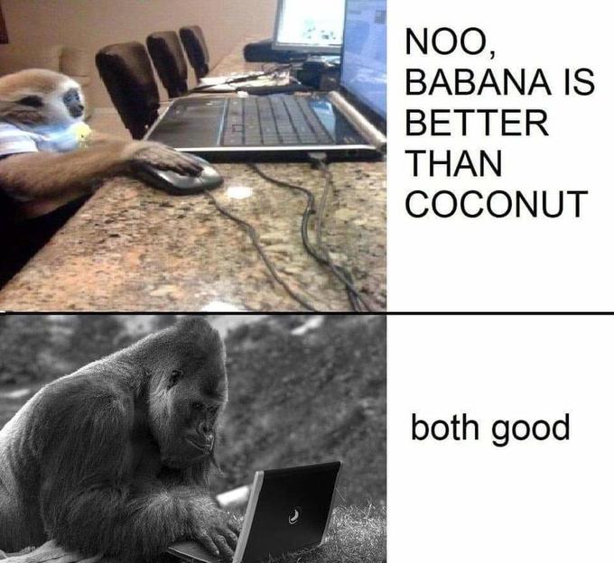 NOO, BABANA IS BETTER THAN COCONUT both good