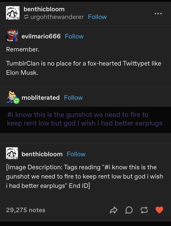 REEDE benthicbloom urgohthewanderer Follow evilmario666 Follow Remember. GELDA 28 TumblrClan is no place for a fox-hearted Twittypet like Elon Musk. mobliterated Follow #i know this is the gunshot we need to fire to keep rent low but god I wish I had better earplugs ... benthicbloom Follow [Image Description: Tags reading "#i know this is the gunshot we need to fire to keep rent low but god i wish i had better earplugs" End ID] 29,275 notes À D
