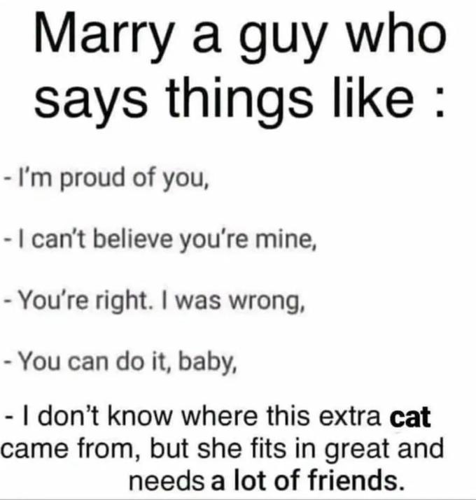 How Many Cats Is Too Many Cats r memes Know Your Meme