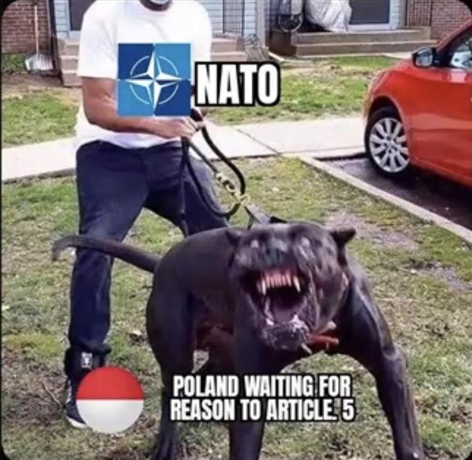 NATO hin POLAND WAITING FOR REASON TO ARTICLE 5