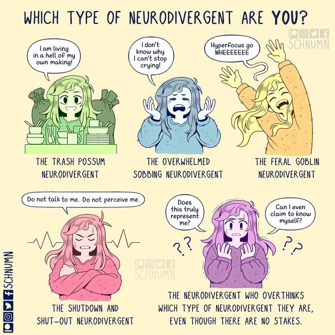 Alt text:

Which type of neurodivergent are YOU?

1) The Trash Possum Neurodivergent, residing amongst dirty dishes and garbage bags, living in a hell of their own making

2) The overwhelmed sobbing neurodivergent who doesn't know why they can't stop crying

3) The feral goblin neurodivergent - hyperfocus go WHEEEEEE!

4) The shutdown and shut-out neurodivergent who does not want to be talked to nor perceived

5) The neurodivergent who overthinks which type of neurodivergent they are, even though there are no stakes. What represents them? Can they truly claim to know themself?