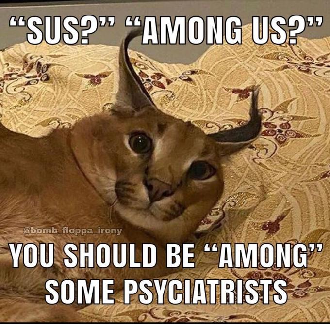 "SUS?" "AMONG US?" @bomb_floppa_irony YOU SHOULD BE "AMONG" SOME PSYCIATRISTS
