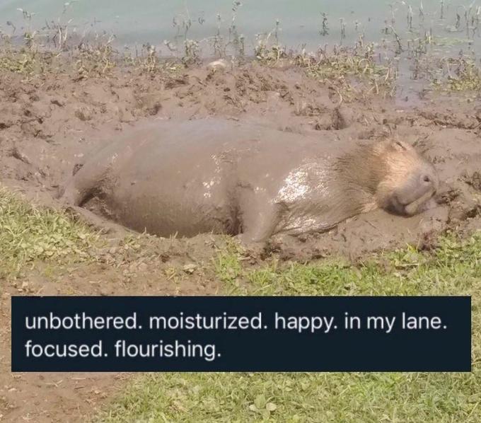 unbothered. moisturized. happy. in my lane. focused. flourishing.