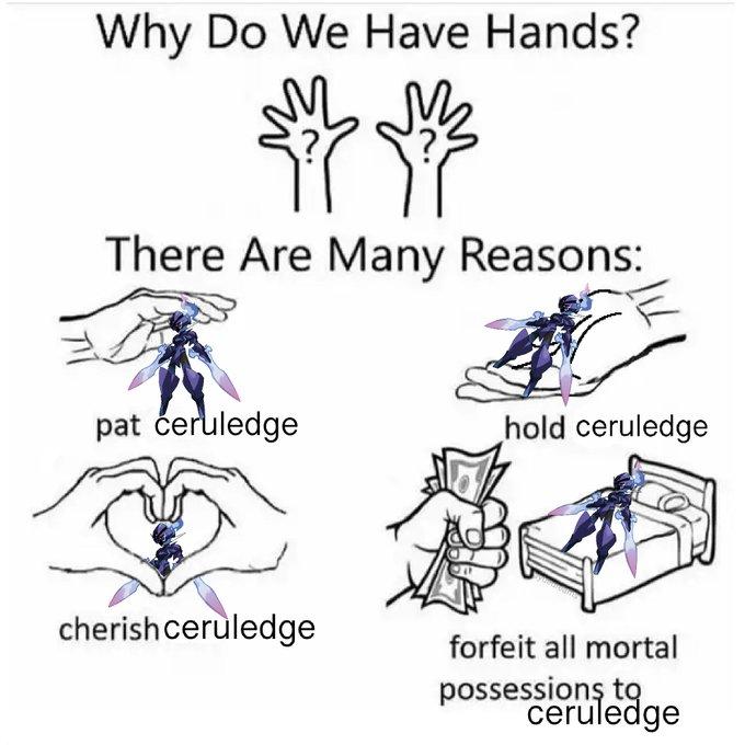 Why Do We Have Hands? There Are Many Reasons: pat ćeruledge cherish ceruledge hold ceruledge forfeit all mortal possessions to ceruledge