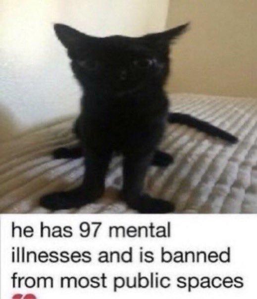 he has 97 mental illnesses and is banned from most public spaces