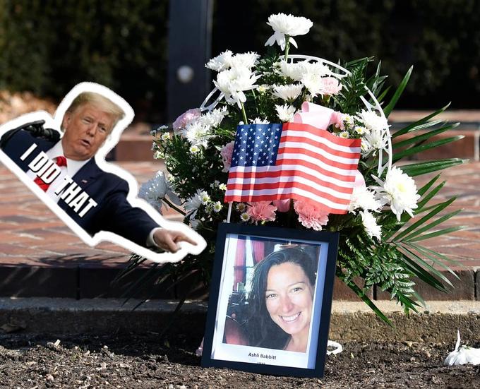 I DID THAT Ashli Babbitt