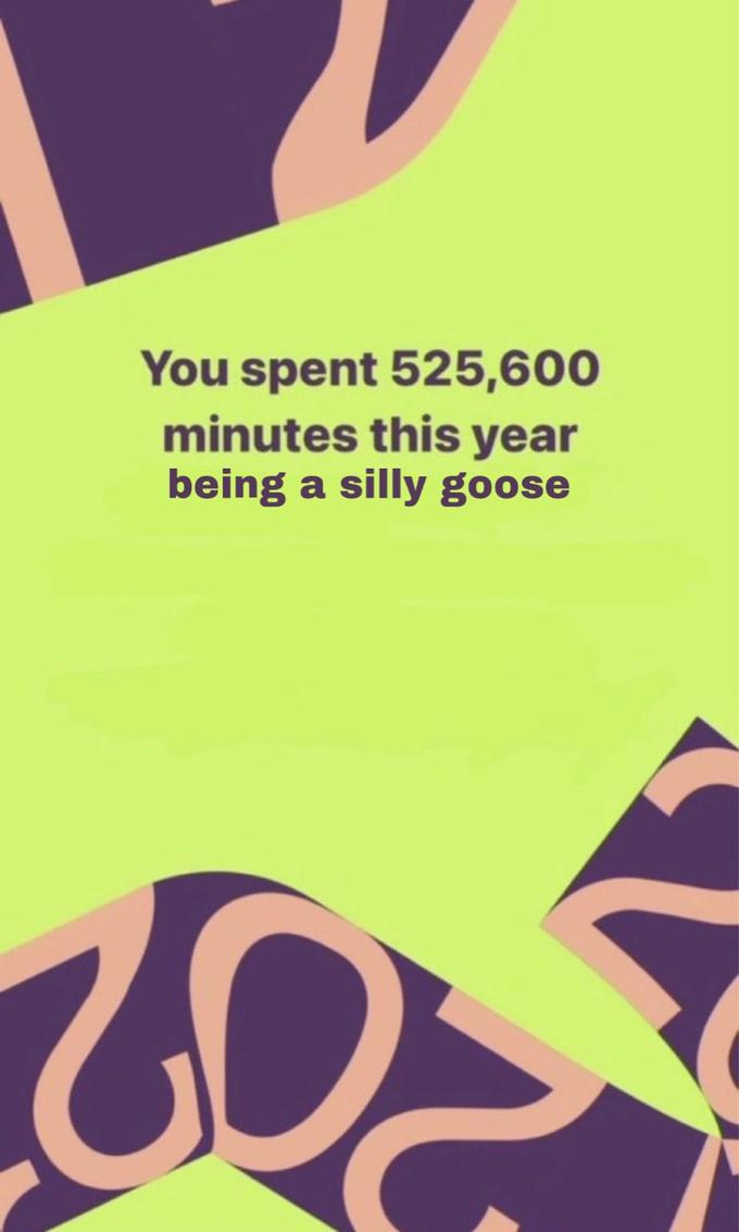 You spent 525,600 minutes this year being a silly goose