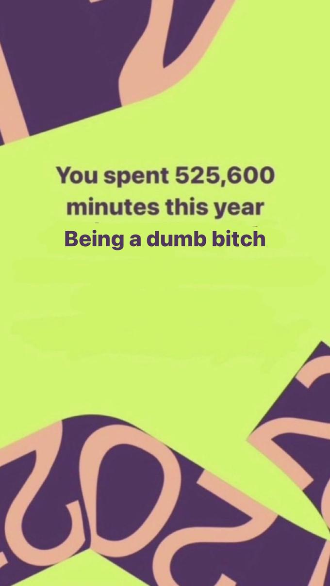 You spent 525,600 minutes this year Being a dumb bitch