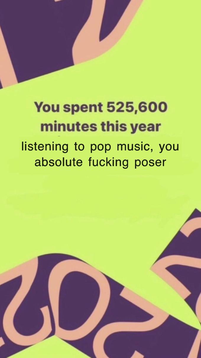 You spent 525,600 minutes this year listening to pop music, you absolute f------ poser