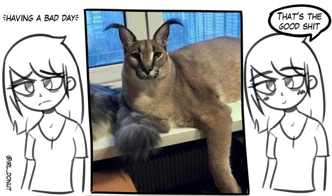 HAVING A BAD DAY= @IRL_DONUT J THAT'S THE GOOD S--- J