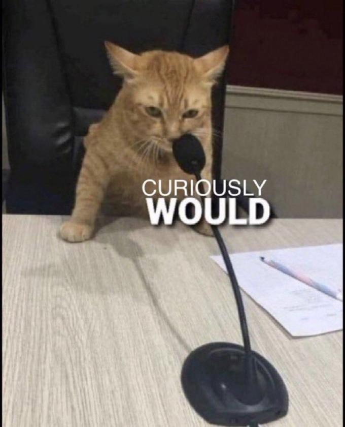 CURIOUSLY WOULD