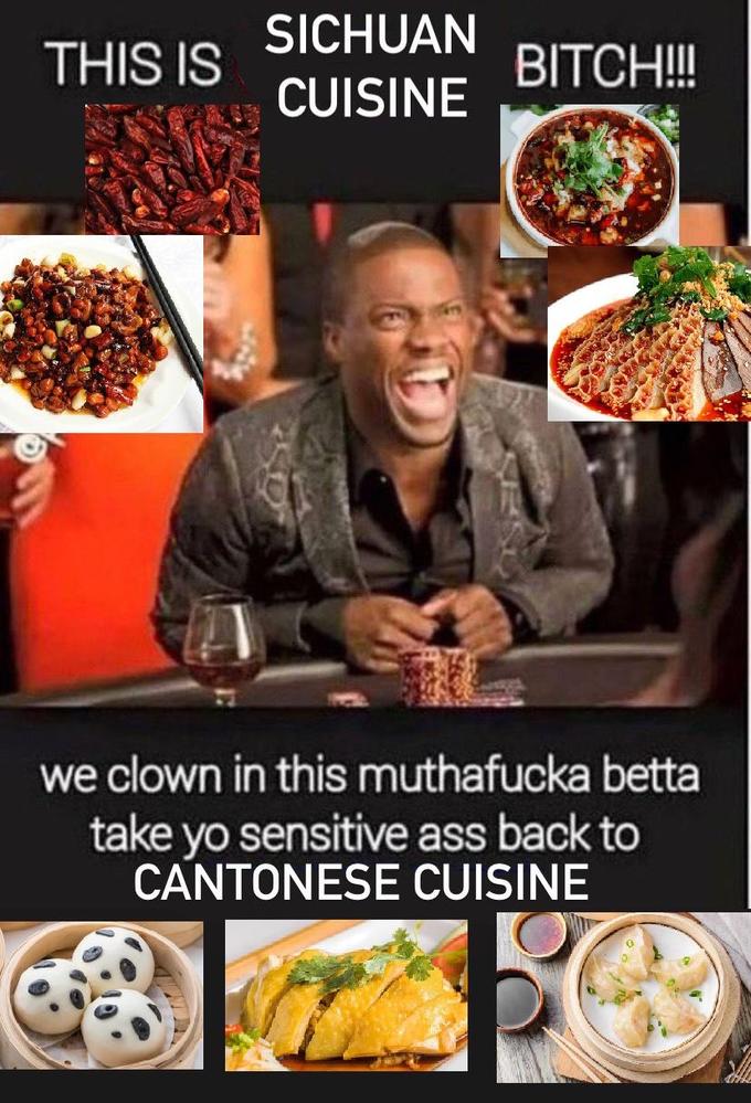 THIS IS SICHUAN CUISINE D SEC BITCH!!!! we clown in this muthafucka betta take yo sensitive ass back to CANTONESE CUISINE