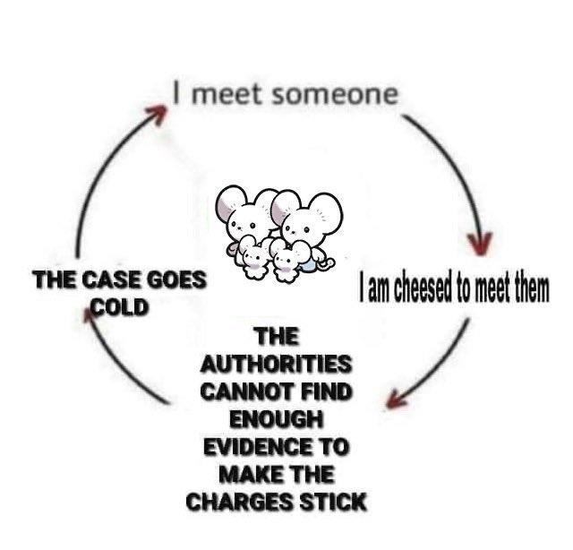 I meet someone THE CASE GOES COLD I am cheesed to meet them THE AUTHORITIES CANNOT FIND ENOUGH EVIDENCE TO MAKE THE CHARGES STICK