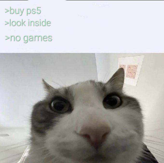 >buy ps5 | Cat Looks Inside | Know Your Meme