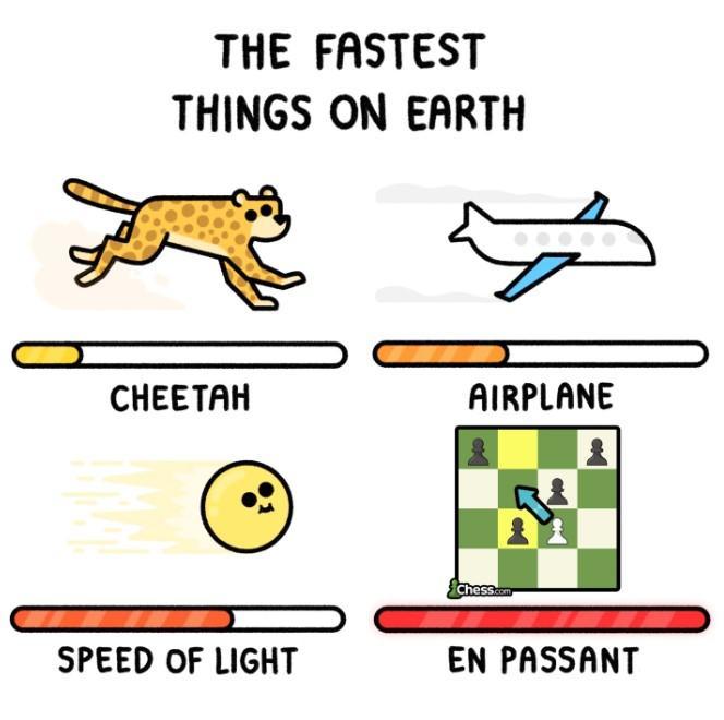 THE FASTEST THINGS ON EARTH CHEETAH AMAL SPEED OF LIGHT AIRPLANE CK Chess.com ** EN PASSANT