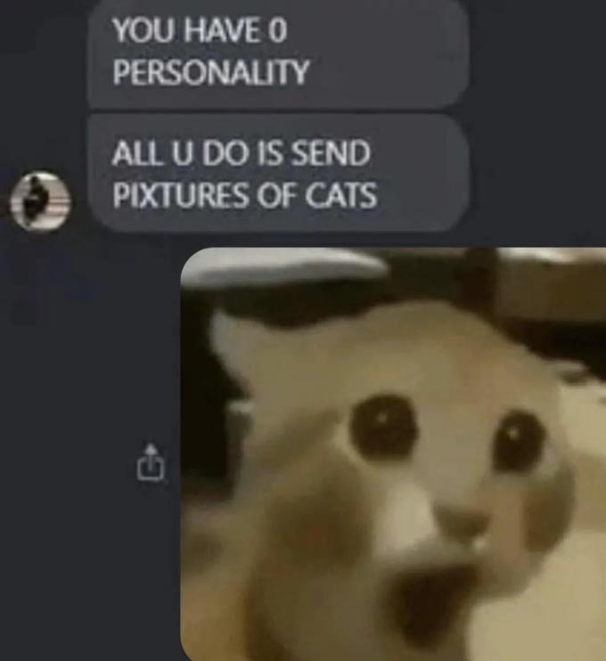 No Way Cats Know Your Meme