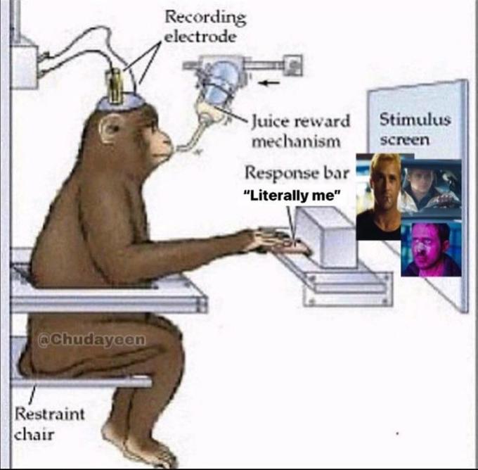 @Chudayeen Restraint chair Recording electrode Juice reward mechanism Response bar "Literally me" Stimulus screen