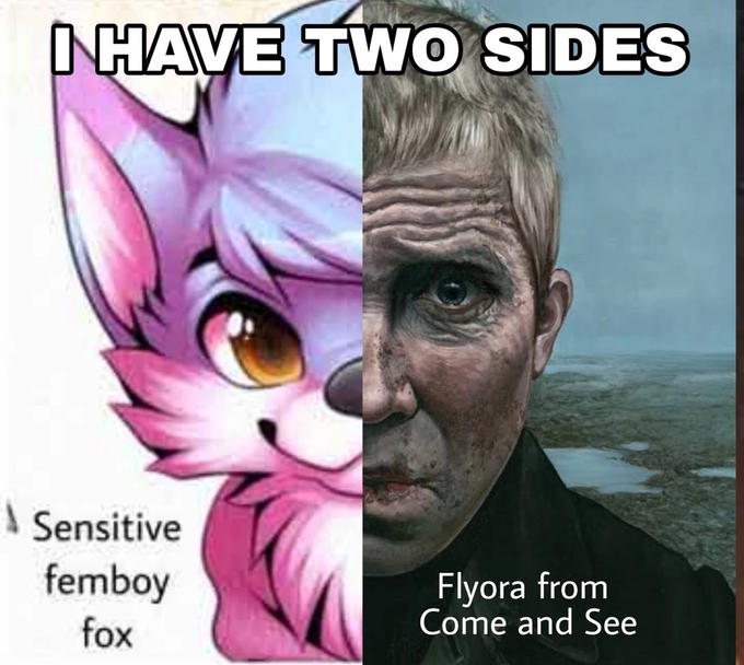 I HAVE TWO SIDES Sensitive femboy fox Flyora from Come and See