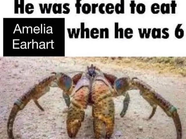 He was forced to eat Amelia when he was 6 Earhart