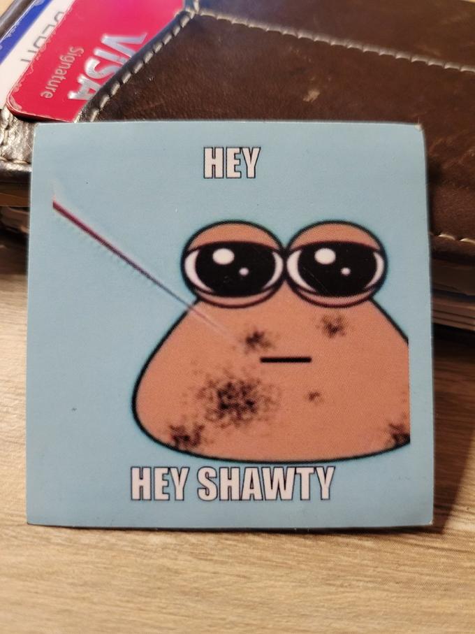 Signature VISA HEY HEY SHAWTY