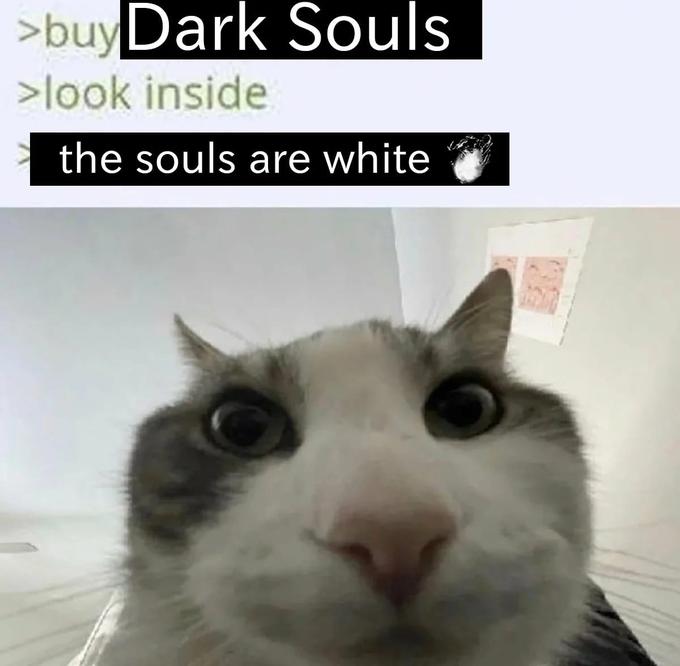 >buy Dark Souls >look inside the souls are white