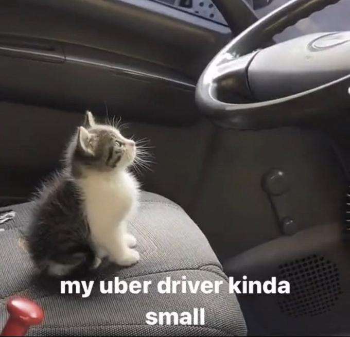 my uber driver kinda small
