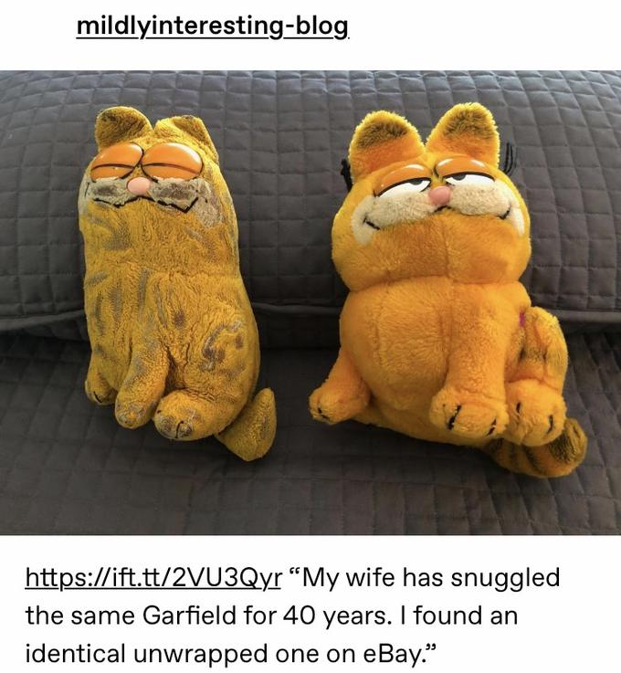 mildlyinteresting-blog 20 https://ift.tt/2VU3Qyr "My wife has snuggled the same Garfield for 40 years. I found an identical unwrapped one on eBay."