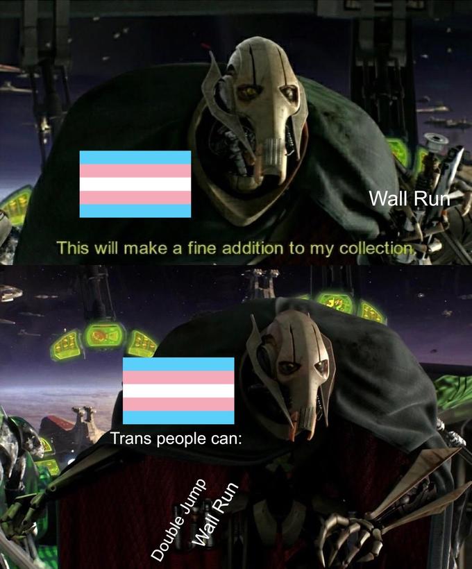 This will make a fine addition to my collection, Trans people can: Double Jump Wall Run Wall Run