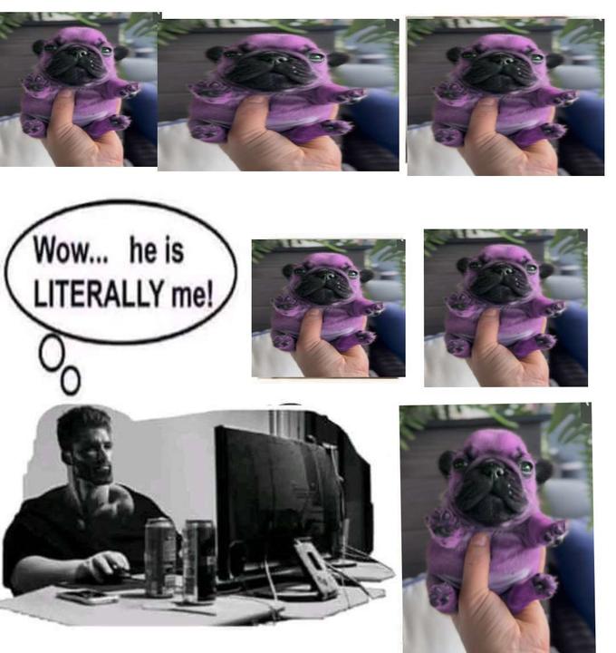 Wow... he is LITERALLY me!