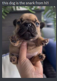 this dog is the snark from hl1