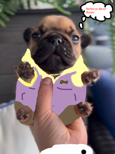 PHS Barbecue Bacon Burger