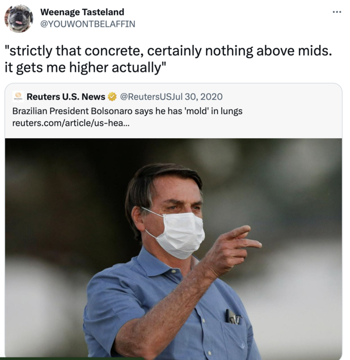 Weenage Tasteland @YOUWONTBELAFFIN "strictly that concrete, certainly nothing above mids. it gets me higher actually" Reuters U.S. News @ReutersUSJul 30, 2020 Brazilian President Bolsonaro says he has 'mold' in lungs reuters.com/article/us-hea... REUTERS :