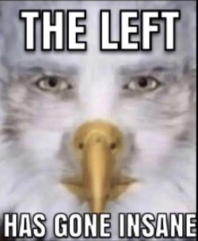 THE LEFT HAS GONE INSANE
