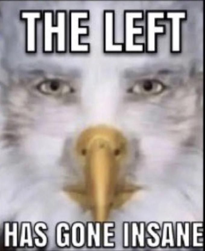 the-left-has-gone-insane-staring-eagle-marvin-beak-know-your-meme