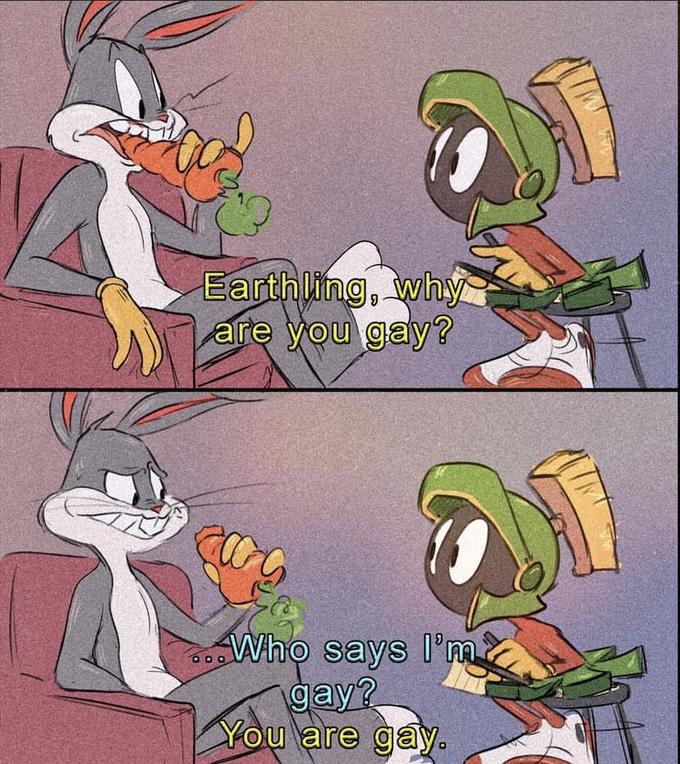 Earthling, why are you gay? Who says I'm gay? You are gay. 000
