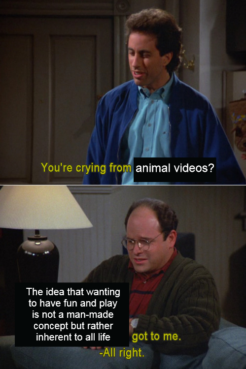 You're crying from animal videos? The idea that wanting to have fun and play is not a man-made concept but rather inherent to all life got to me. -All right.