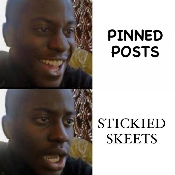 PINNED POSTS STICKIED SKEETS