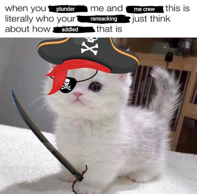 when you plunder literally who your about how addled me and ransacking that is X4 me crew this is just think