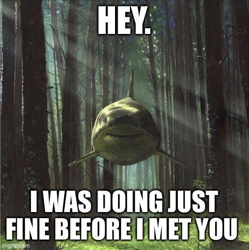 HEY. I WAS DOING JUST FINE BEFORE I MET YOU imgnin.com