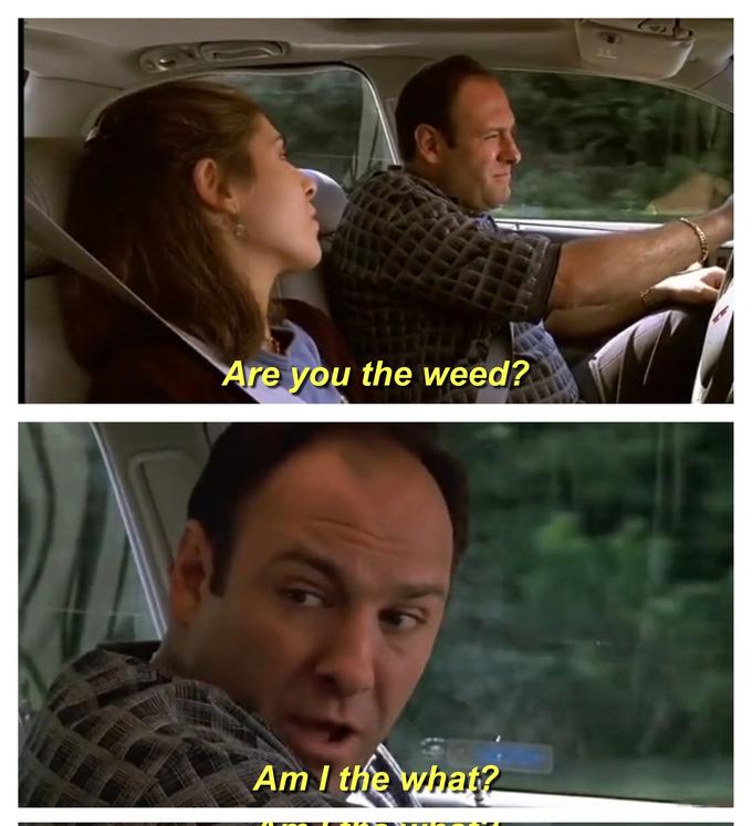 Are you the weed? Am I the what?