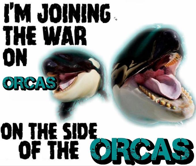I'M JOINING THE WAR ON ORCAS ON THE SIDE OF THE ORCAS