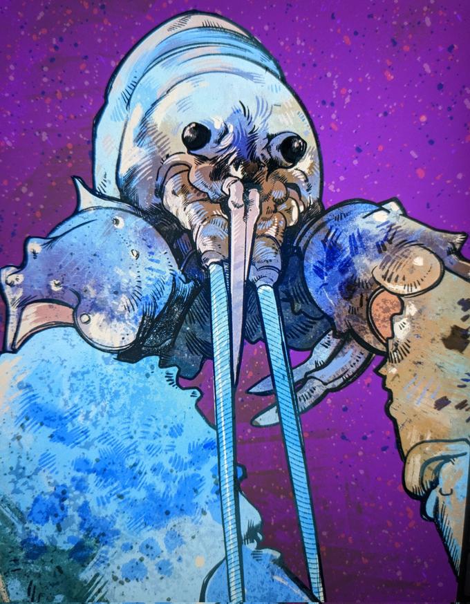 Blue Lobster Face Reveal Blue Lobster Know Your Meme